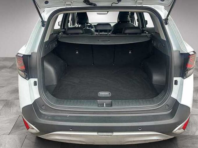 Kia Sportage Vision