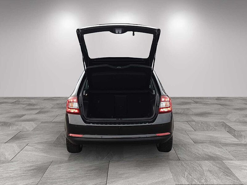 SKODA Rapid Style