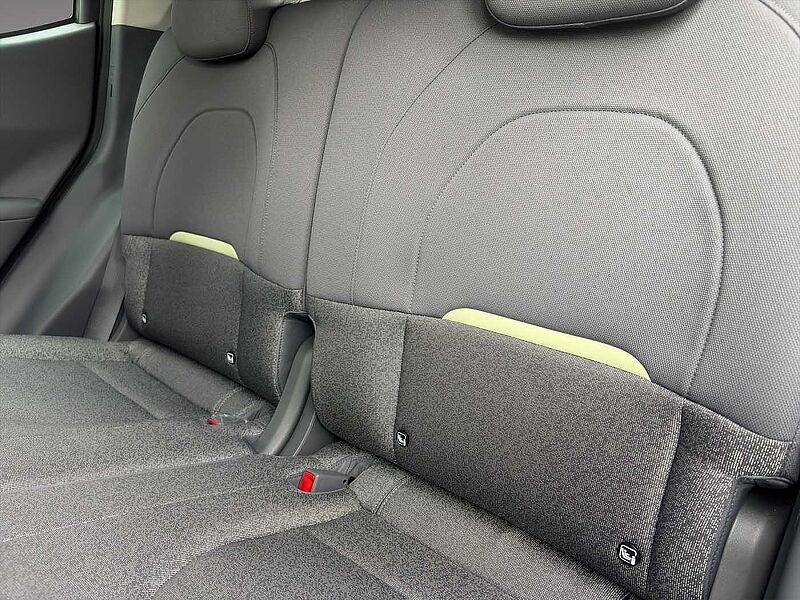 Kia EV2 42.2 4S EARTH WIC TEC DWP Earth mit WIC TEC DWP