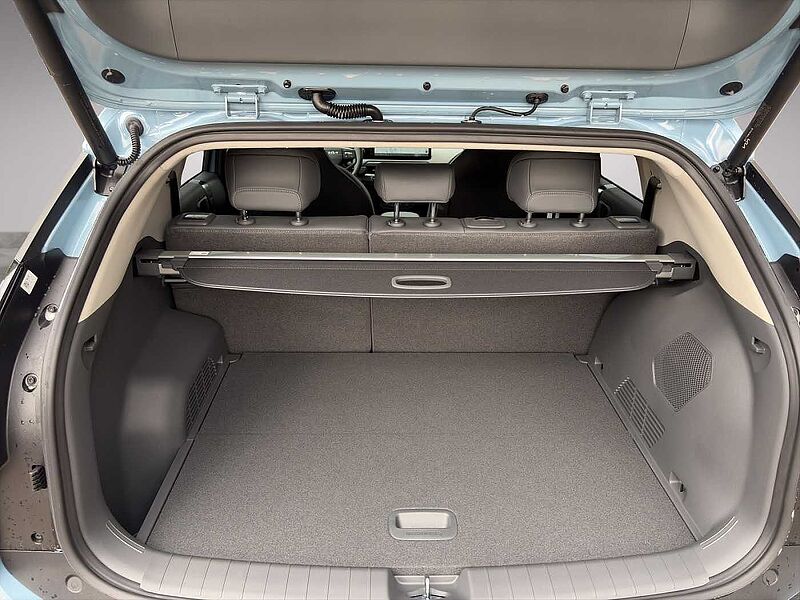 Kia EV3 81,4-kWh FWD Earth EV3 81.4 EARTH WIC BUS DG UP DW 19Z SD