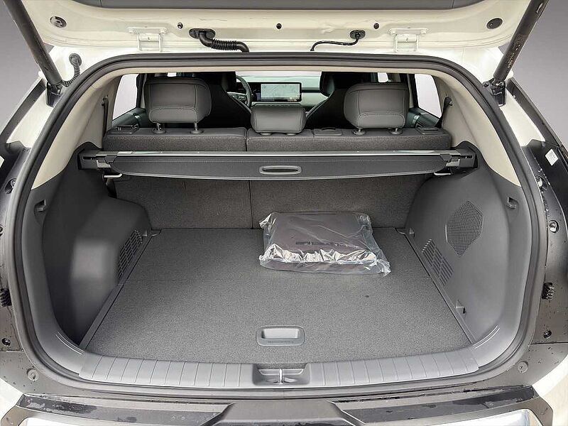 Kia EV3 81,4-kWh FWD Earth EV3 81.4 EARTH WIC BUS DG UP DW 19Z SD